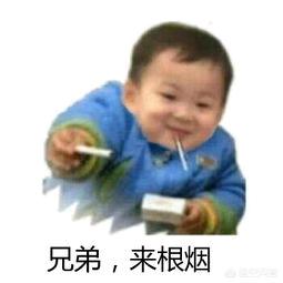 今日科普一下！司机不打表辱骂乘客,百科词条爱好_2024最新更新