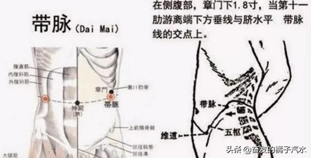 今日科普一下！吃自助连吃带拿被抓,百科词条爱好_2024最新更新