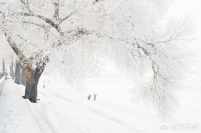 今日科普一下！黑悟空雪雕修复了,百科词条爱好_2024最新更新