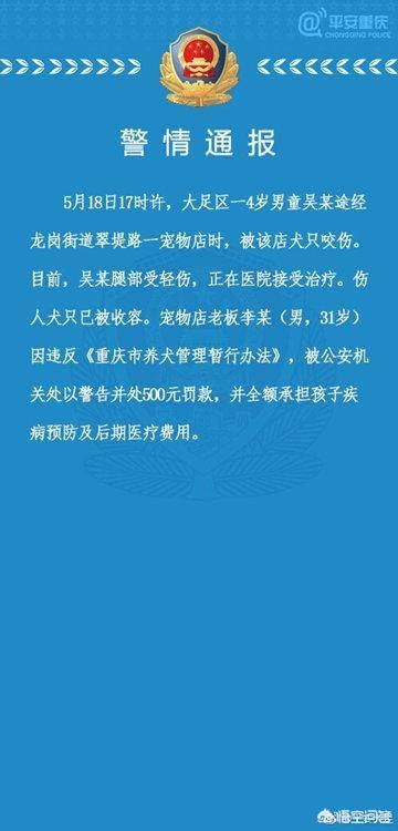 今日科普一下！通报男童遭恶犬咬伤,百科词条爱好_2024最新更新