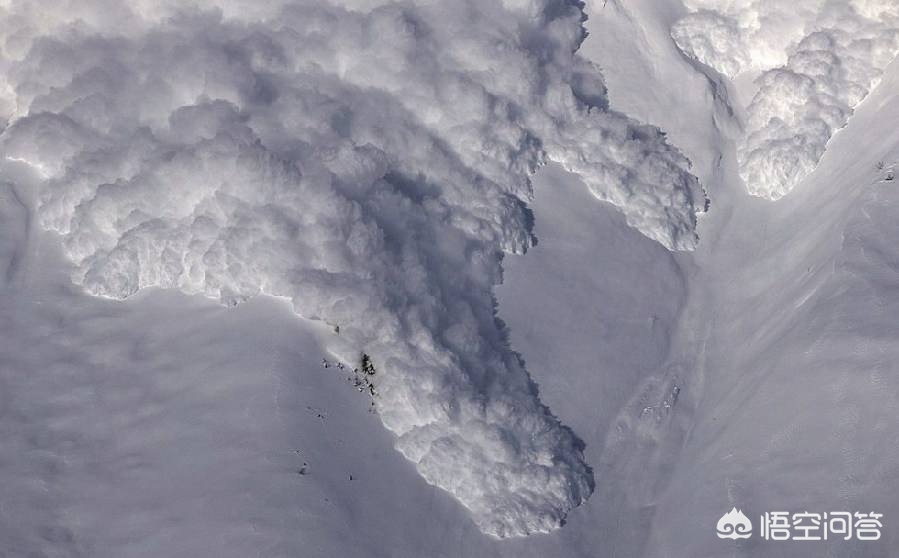 今日科普一下！滑雪名将遇雪崩身亡,百科词条爱好_2024最新更新