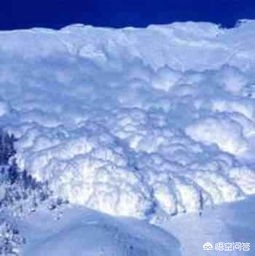 今日科普一下！滑雪名将遇雪崩身亡,百科词条爱好_2024最新更新