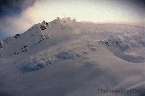 今日科普一下！滑雪名将遇雪崩身亡,百科词条爱好_2024最新更新