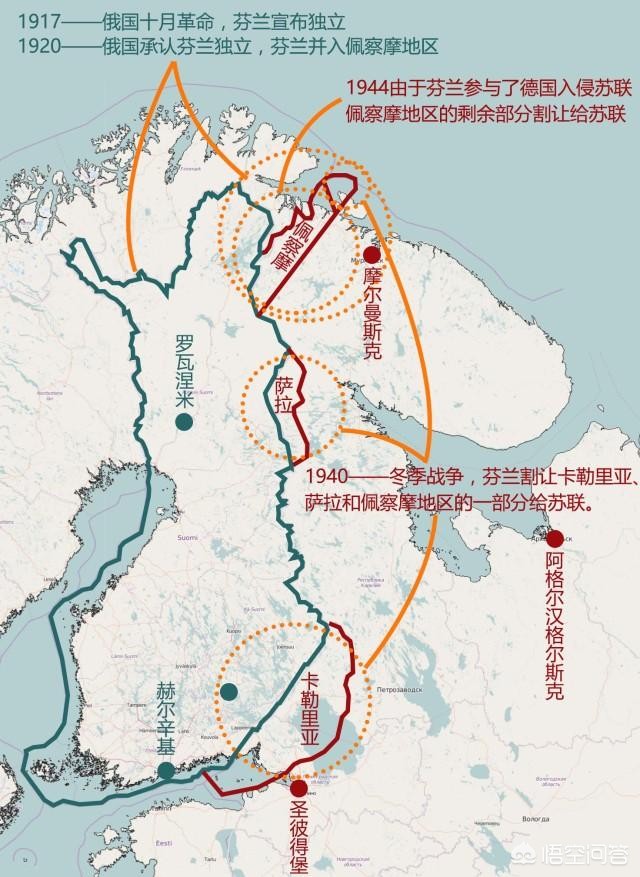 今日科普一下！国防时报晒银杏叶,百科词条爱好_2024最新更新