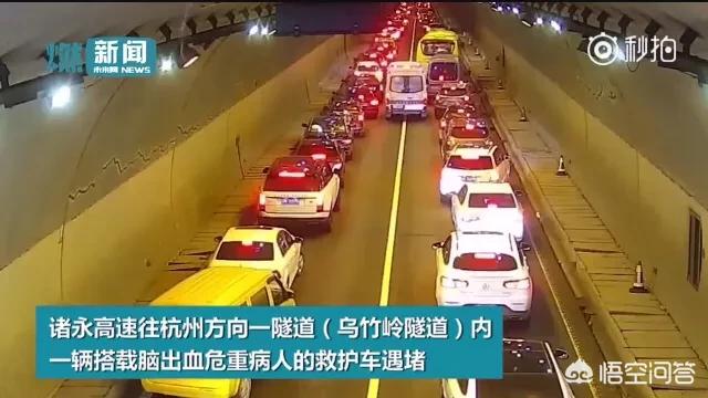 今日科普一下！国人挖了4万多隧道,百科词条爱好_2024最新更新