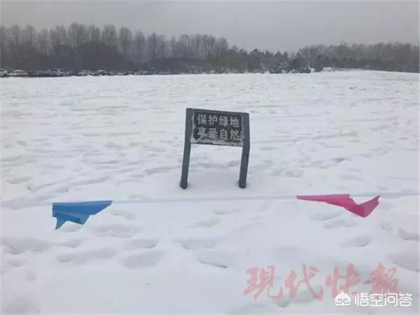 今日科普一下！滑雪教练漂移救女童,百科词条爱好_2024最新更新