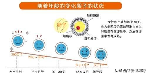 今日科普一下！9胞胎女子胎没保住,百科词条爱好_2024最新更新