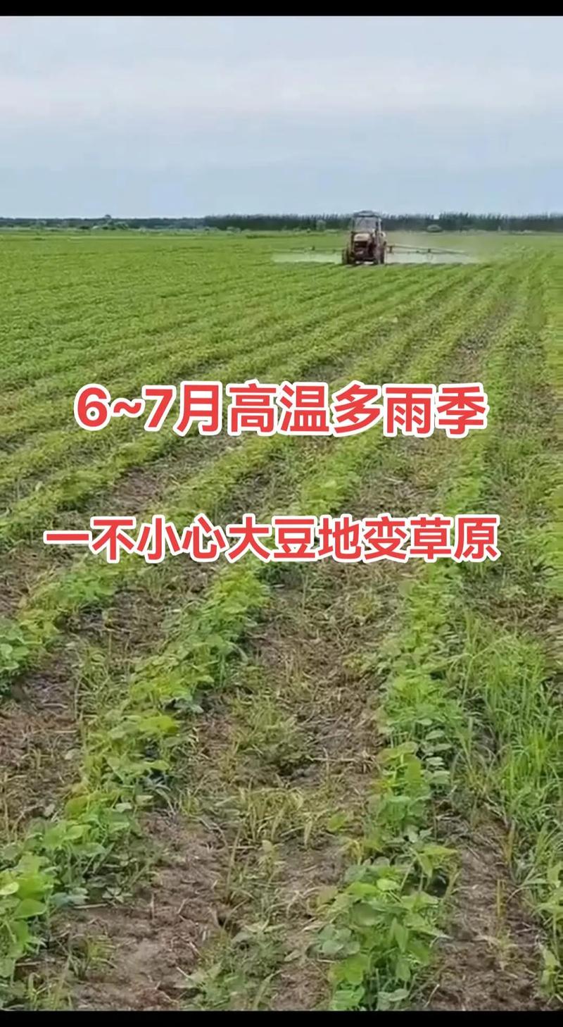 今日科普一下！体检用大豆酱代粪便,百科词条爱好_2024最新更新