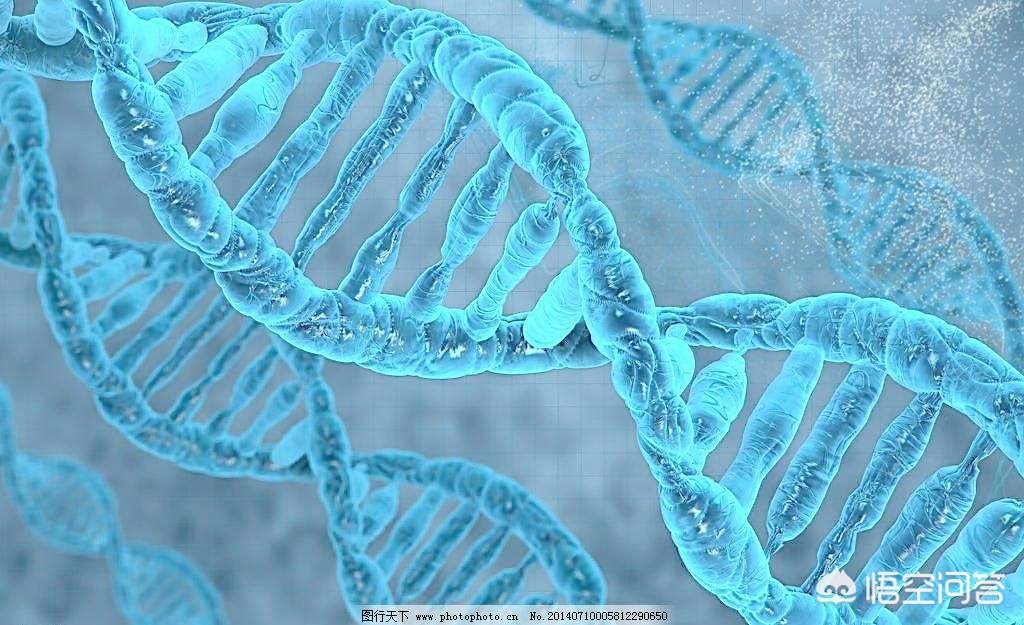 今日科普一下！一家5人患同一种癌,百科词条爱好_2024最新更新