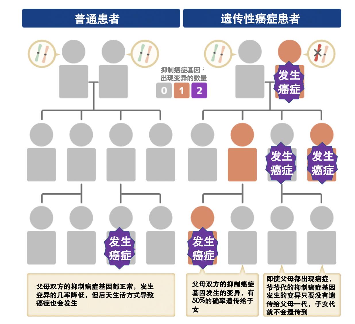 今日科普一下！一家5人患同一种癌,百科词条爱好_2024最新更新