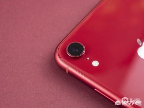 今日科普一下！国补iPhone跌破3千,百科词条爱好_2024最新更新