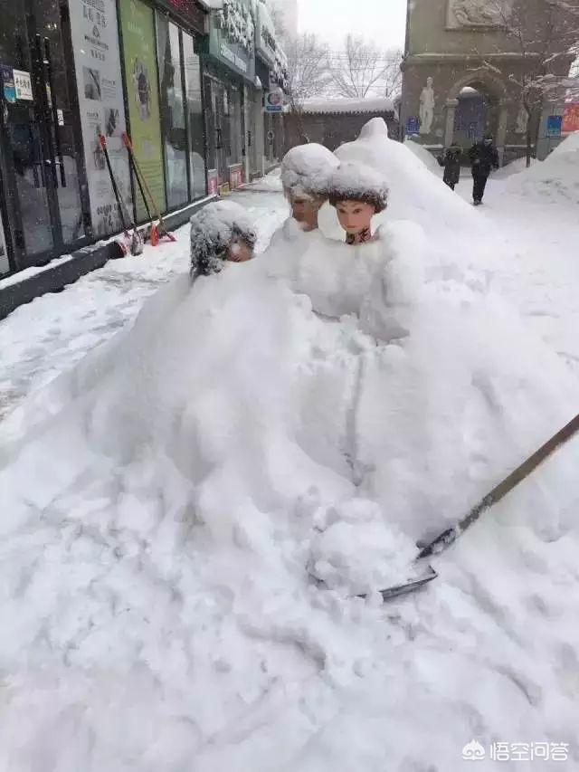 今日科普一下！大风暴雪预警生效中,百科词条爱好_2024最新更新