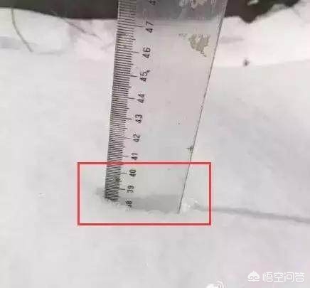 今日科普一下！大风暴雪预警生效中,百科词条爱好_2024最新更新