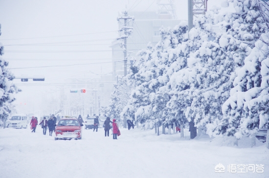 今日科普一下！大风暴雪预警生效中,百科词条爱好_2024最新更新