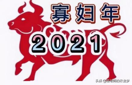 今日科普一下！明天就到立春了,百科词条爱好_2024最新更新