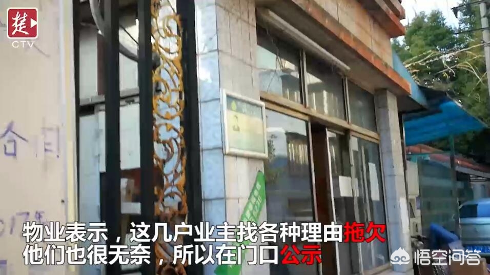 今日科普一下！没交物业费被公示,百科词条爱好_2024最新更新